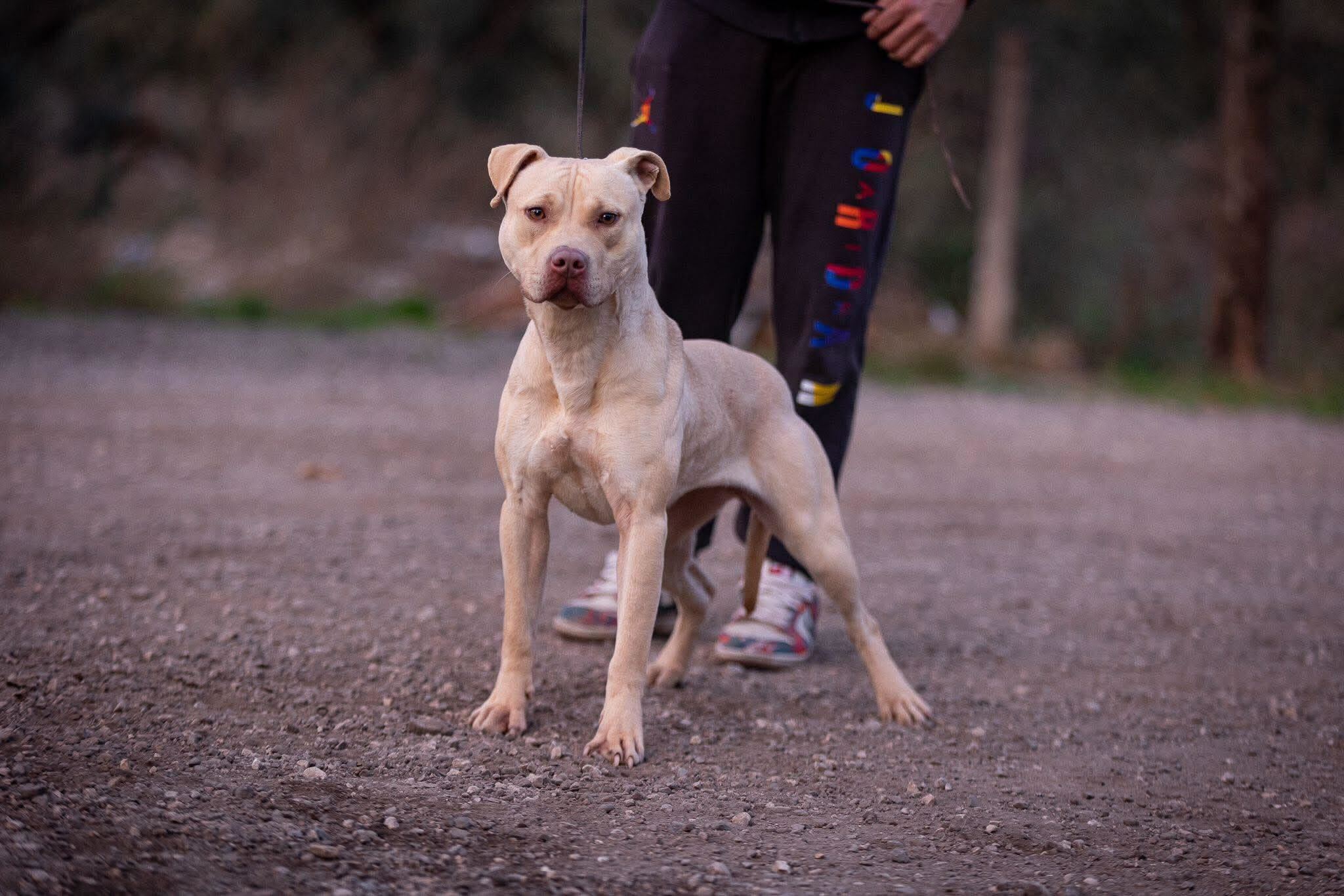 1aaccc6f4007ae35fc4ca2dae965e4b8 (1)