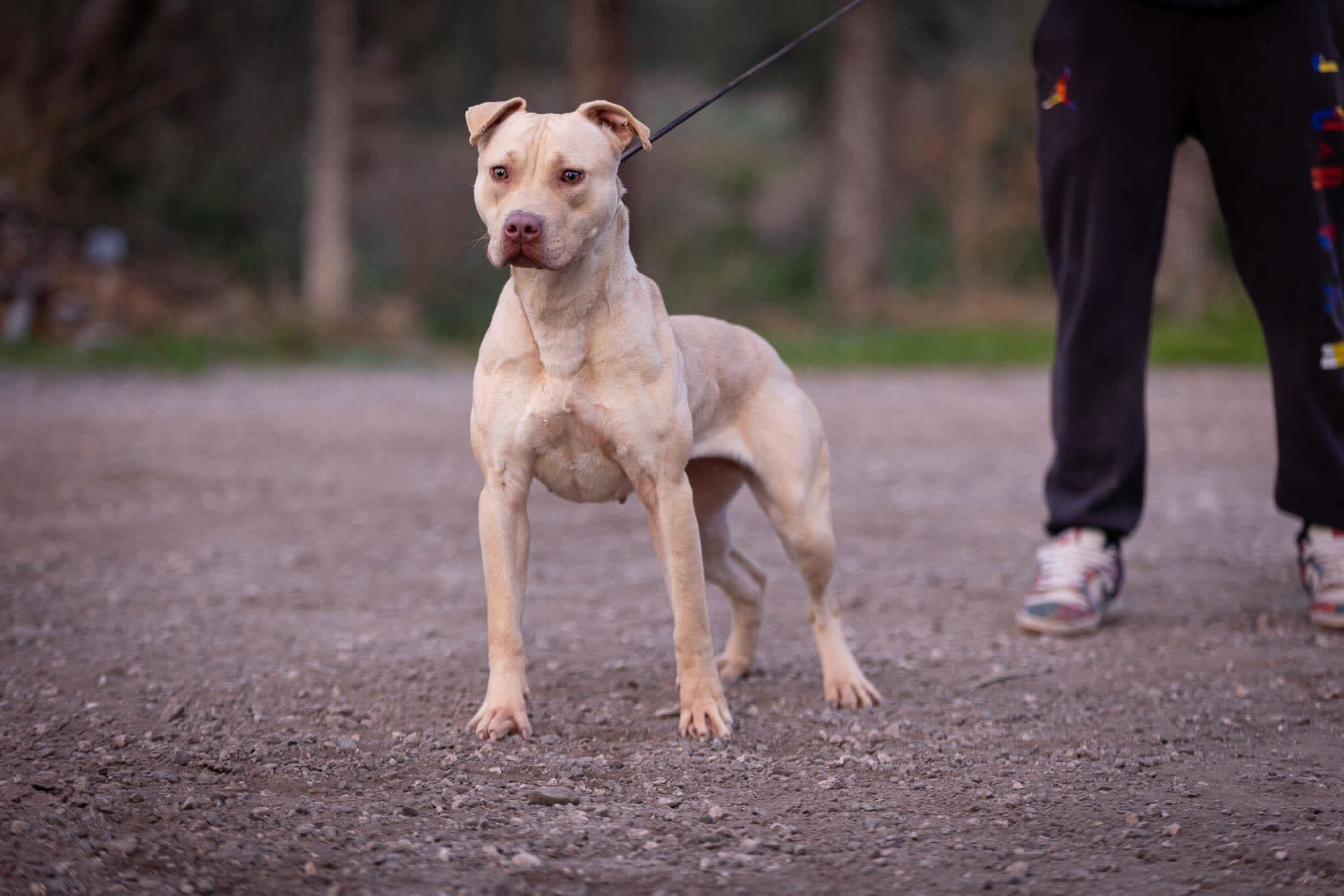 1fda930b2e40072abb22facb02da6b7d (1)