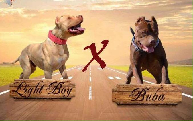 465740201_10230519914134848_446825382290886395_n