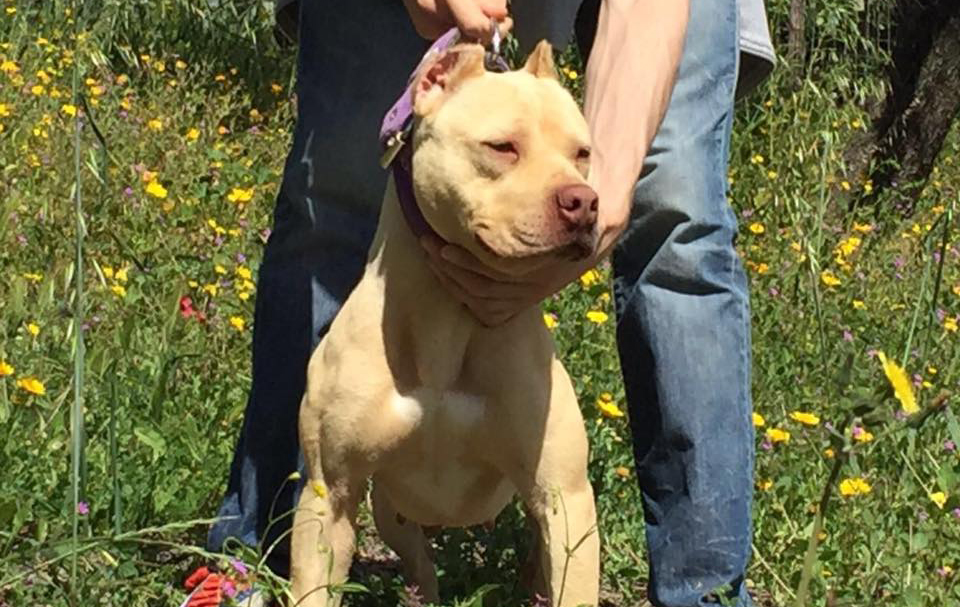 465985386_10230588272203757_7591374870965867277_n