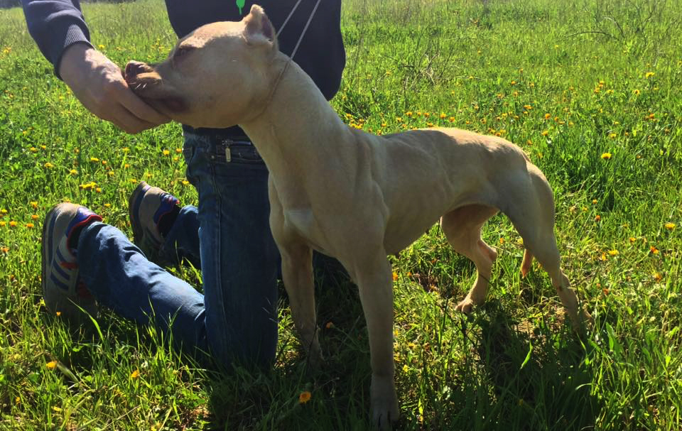 466128525_10230576059618450_4290876155749710235_n