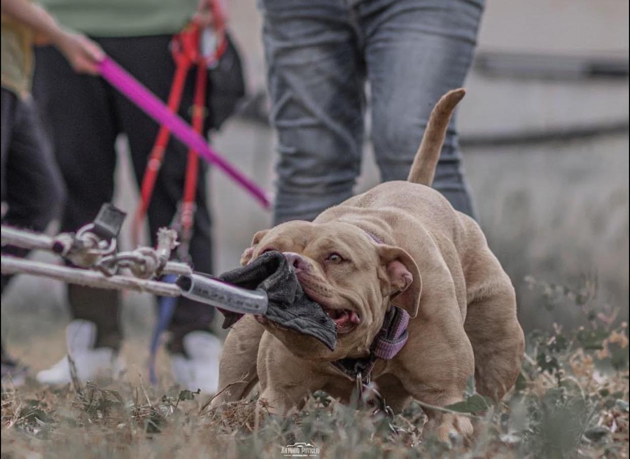 490583787_10232204952499754_3576600448109503125_n