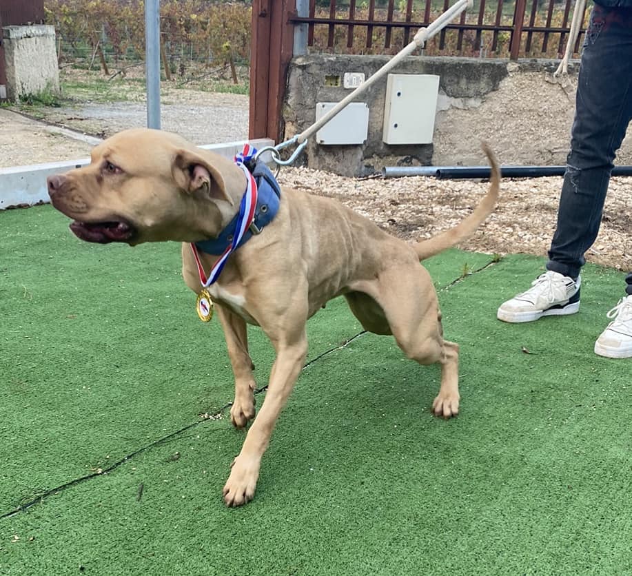 496522841_10232617385050310_3311115156454101020_n