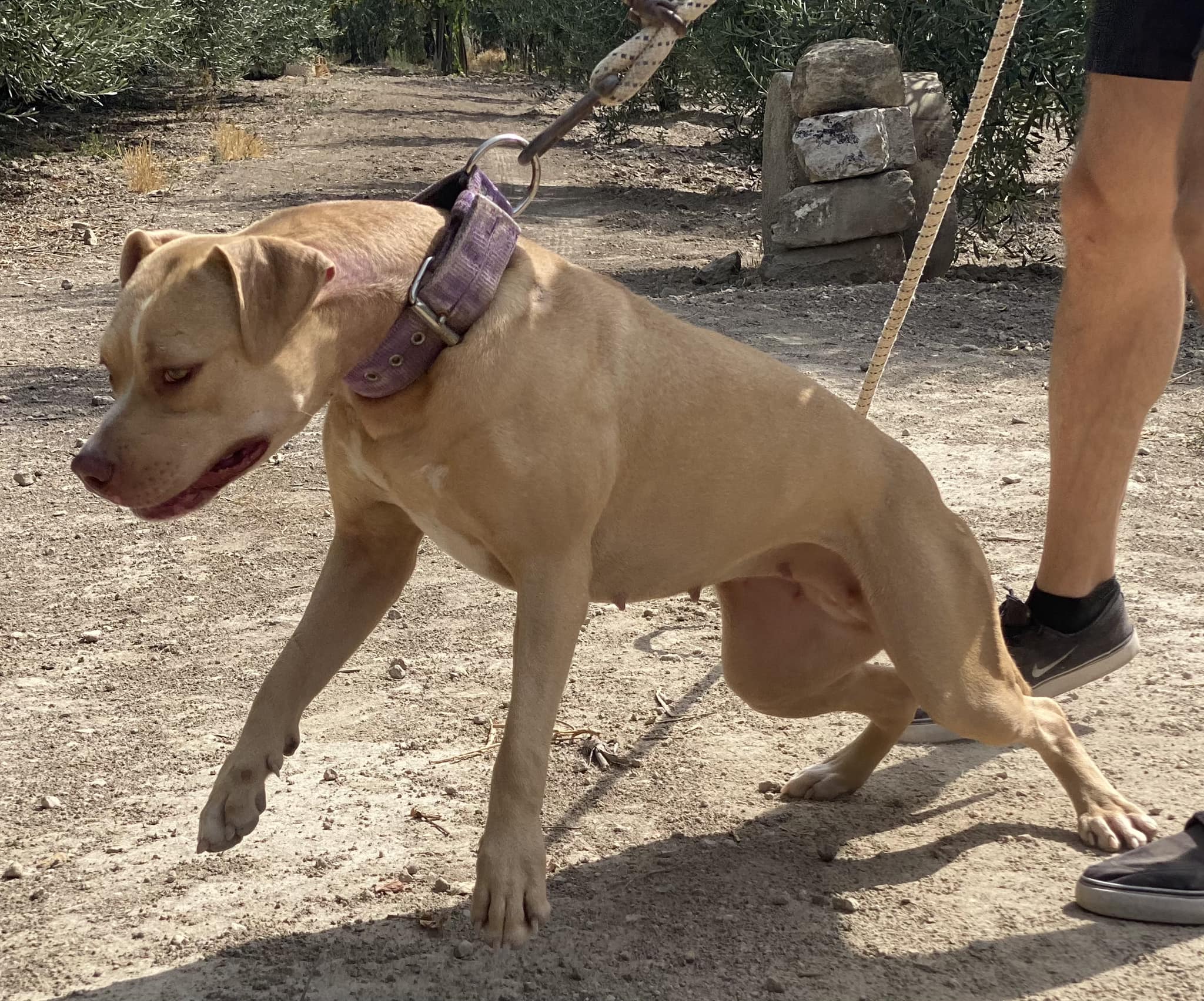 505369357_10232964127358651_6303615119377235735_n