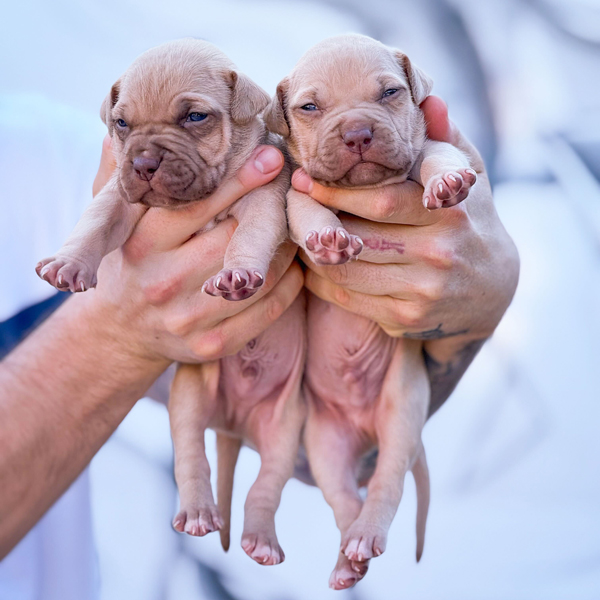 C74385EC-378C-418D-9438-1B94F3D5703F