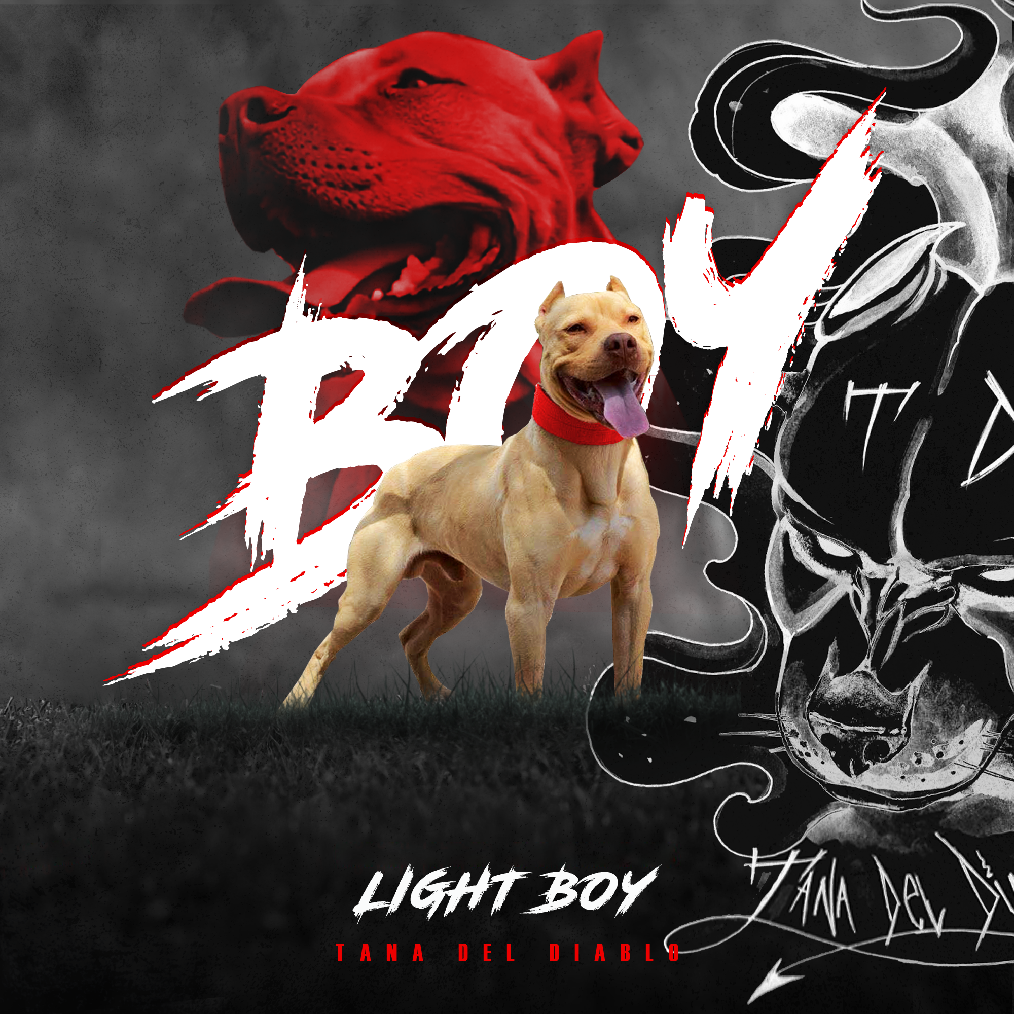 Tana del Diablo Light Boy