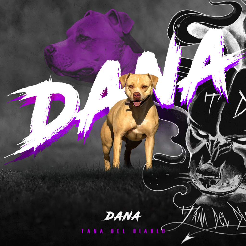 Tana del Diablo Dana