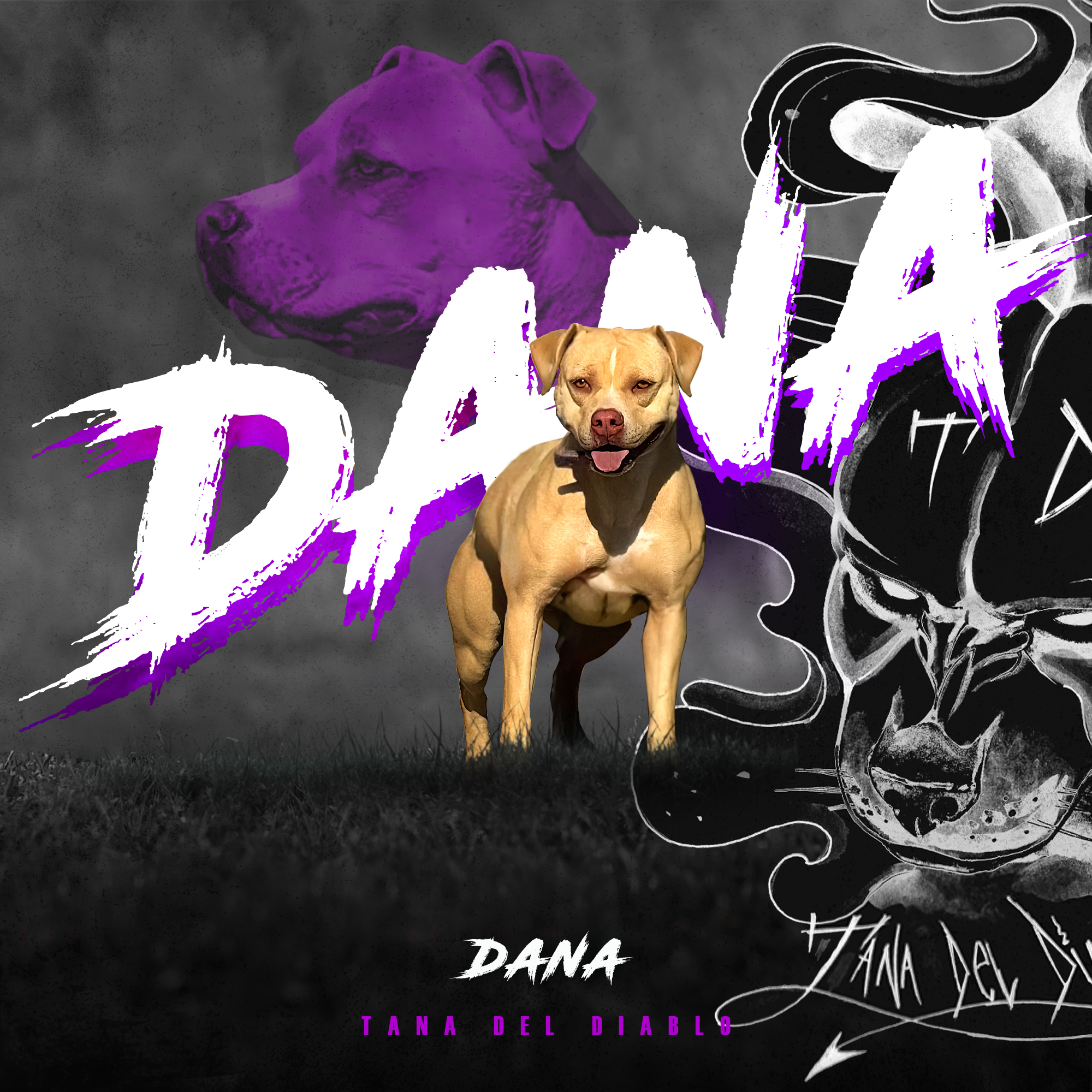 Tana del Diablo Dana