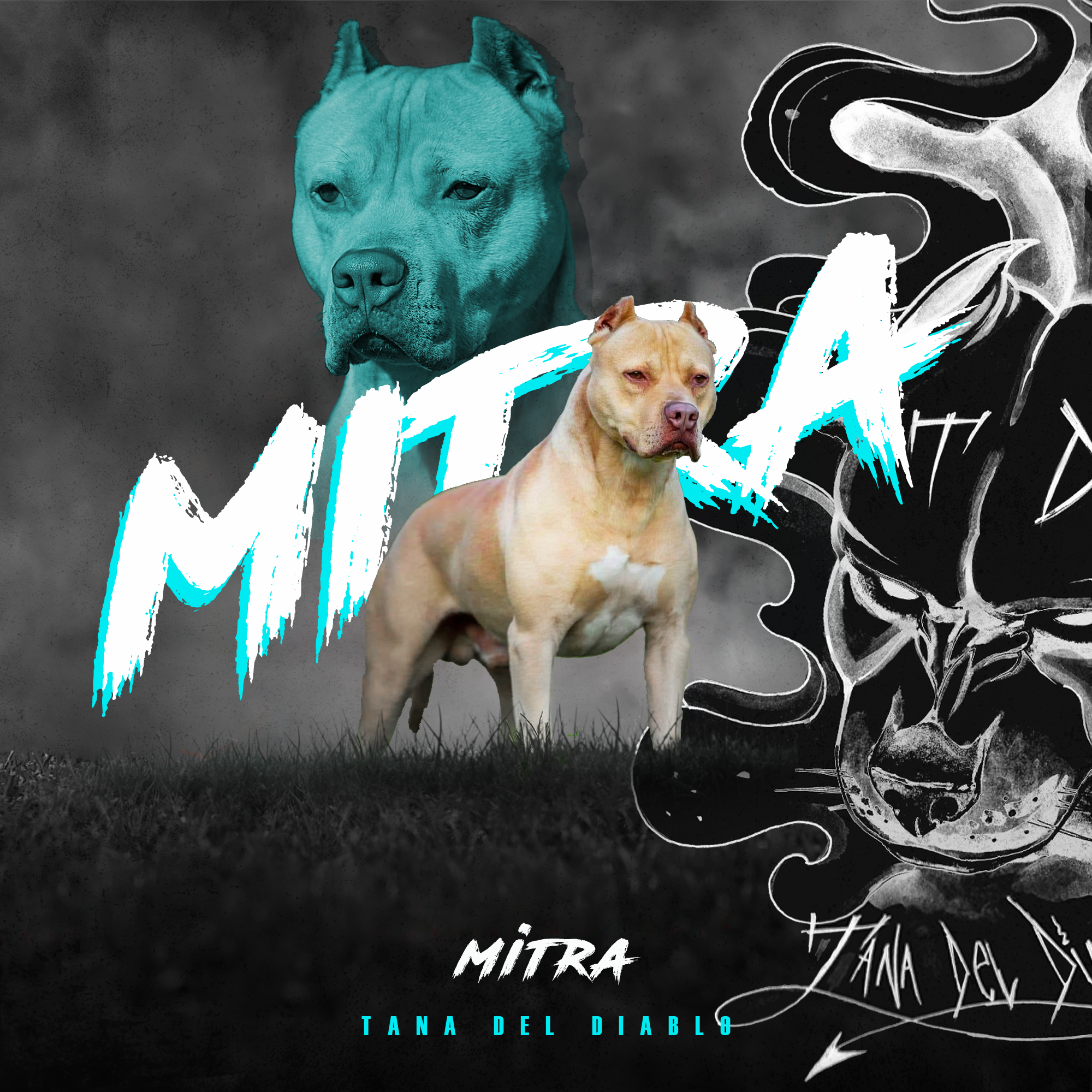 Tana del Diablo Mitra