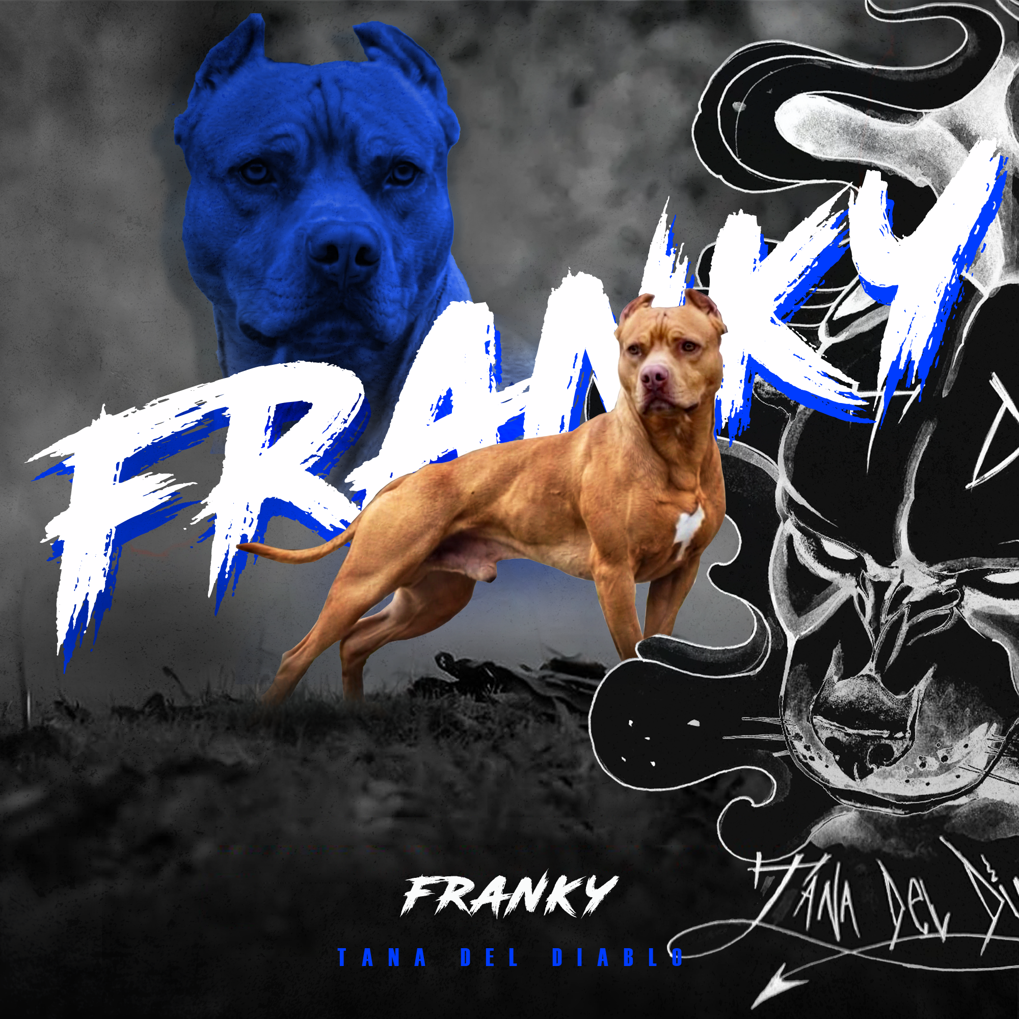 Tana del Diablo Franky